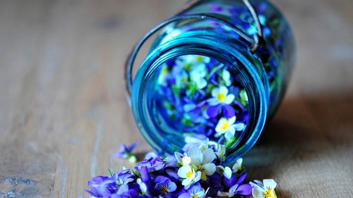 Flowers In Glass Bottle
